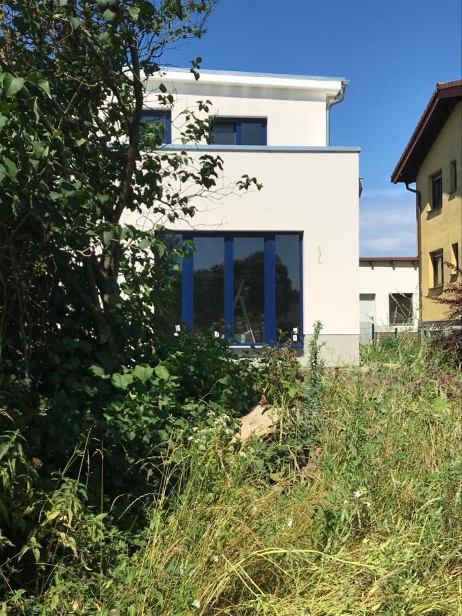Hof Uhleck Am Koenigsstuhl Lägenhet Lohme Exteriör bild