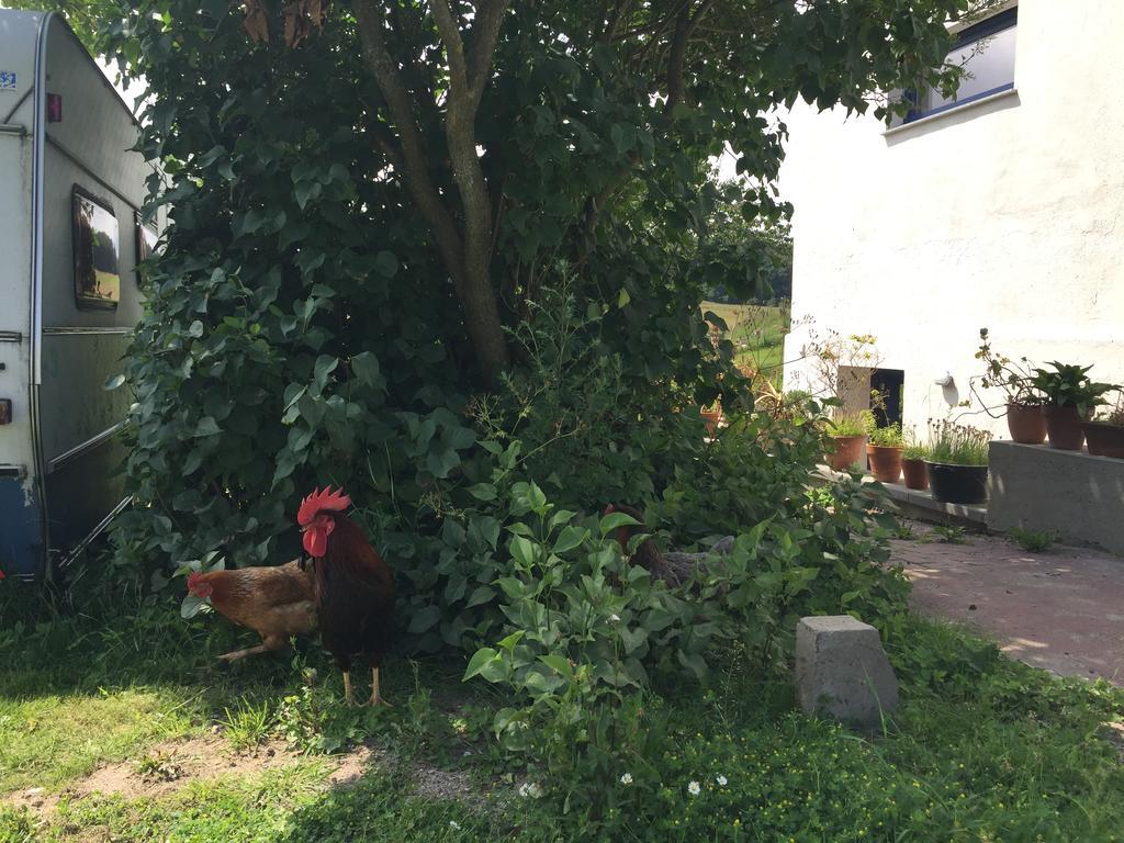 Hof Uhleck Am Koenigsstuhl Lägenhet Lohme Exteriör bild